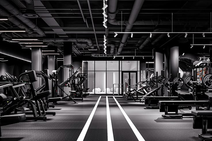 Fitness & Sports Accessories