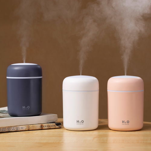 FreshFlow Portable Humidifier